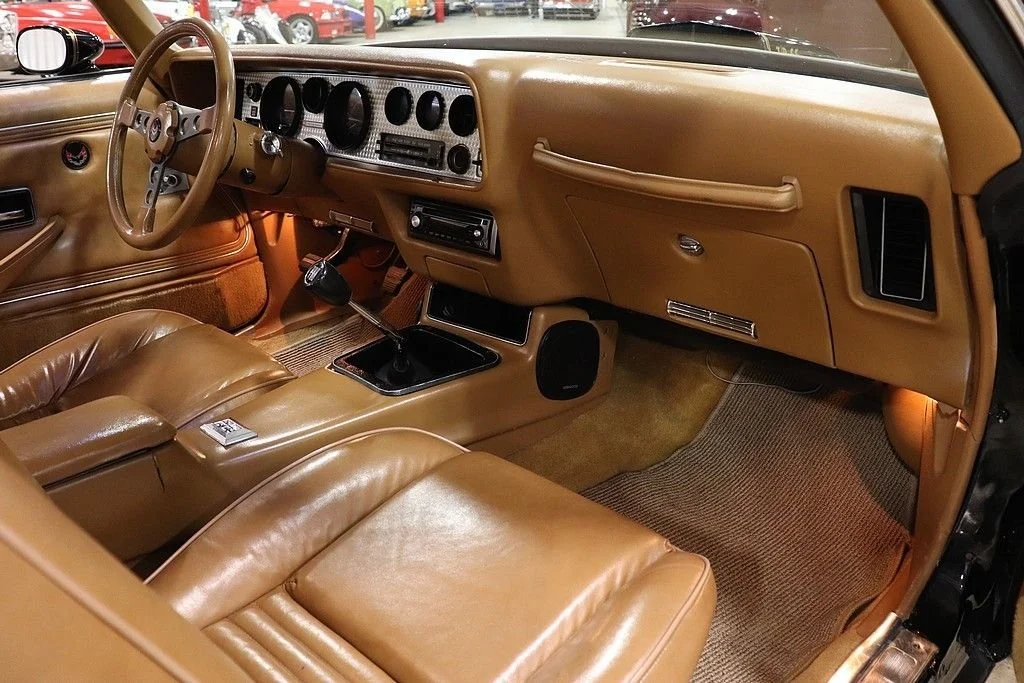 1979 Pontiac Trans Am Firebird photo 11