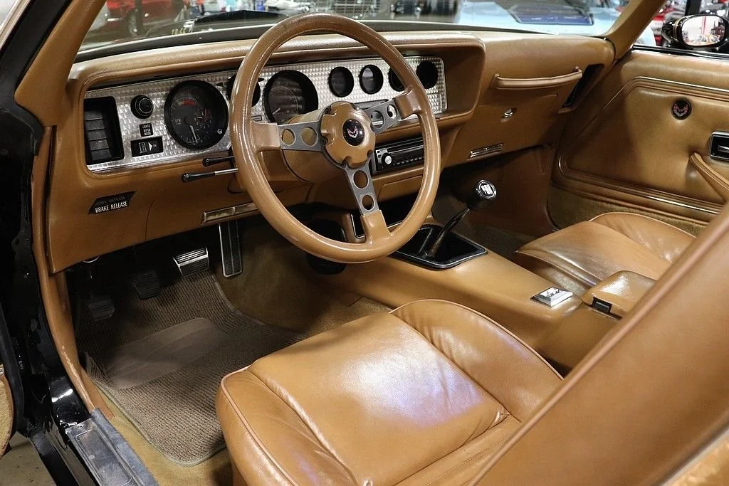 1979 Pontiac Trans Am Firebird photo 13