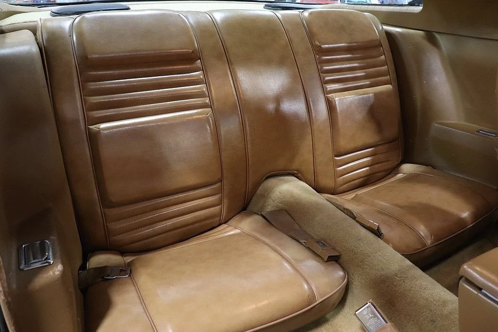 1979 Pontiac Trans Am Firebird photo 15