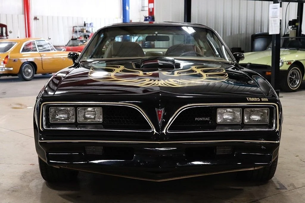 1979 Pontiac Trans Am Firebird photo 8