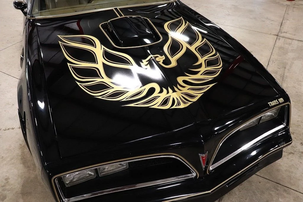 1979 Pontiac Trans Am Firebird photo 9