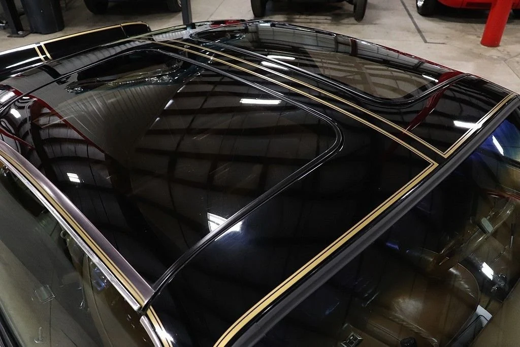 1979 Pontiac Trans Am Firebird photo 10